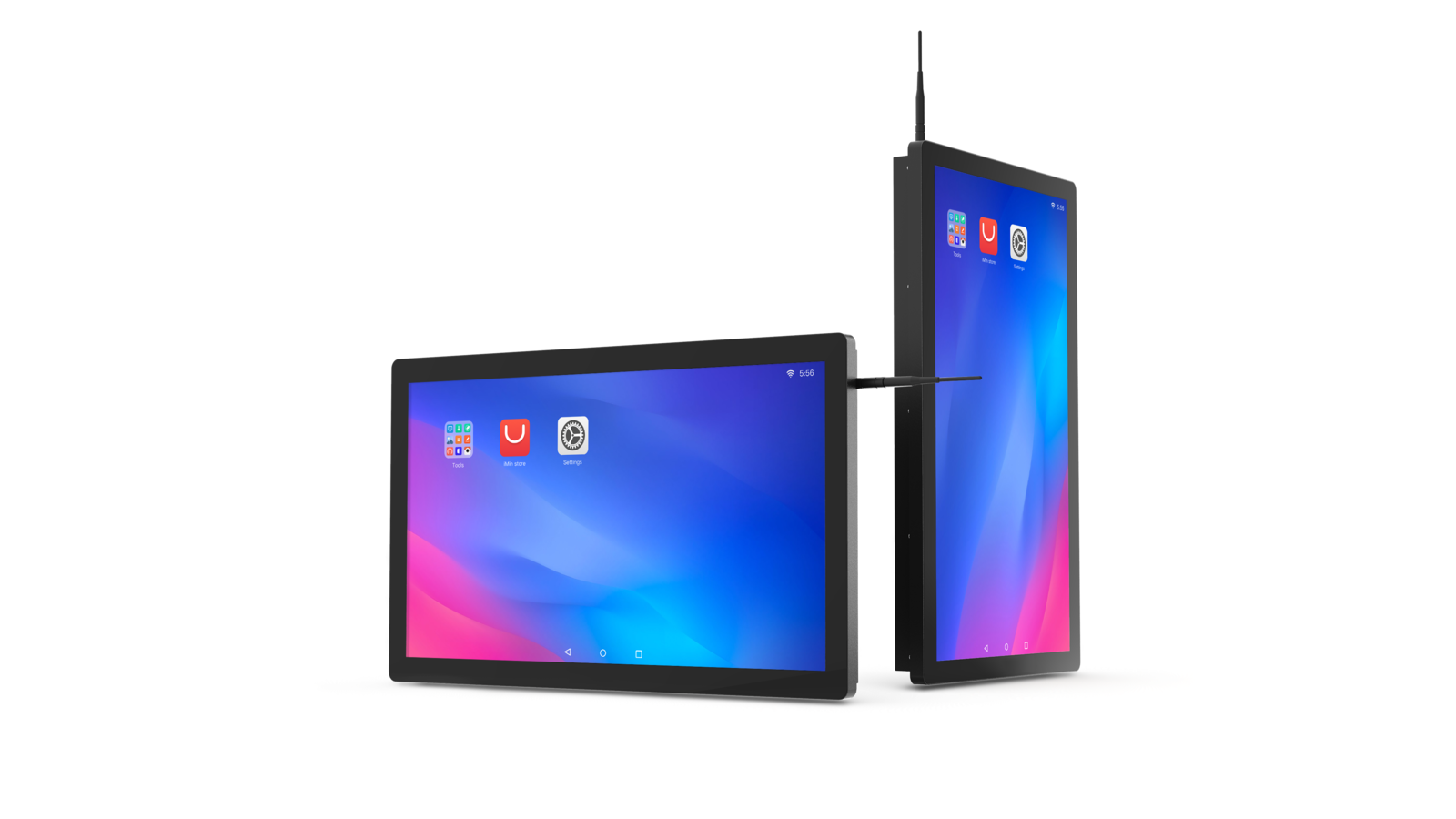 Organic Vegetable Box